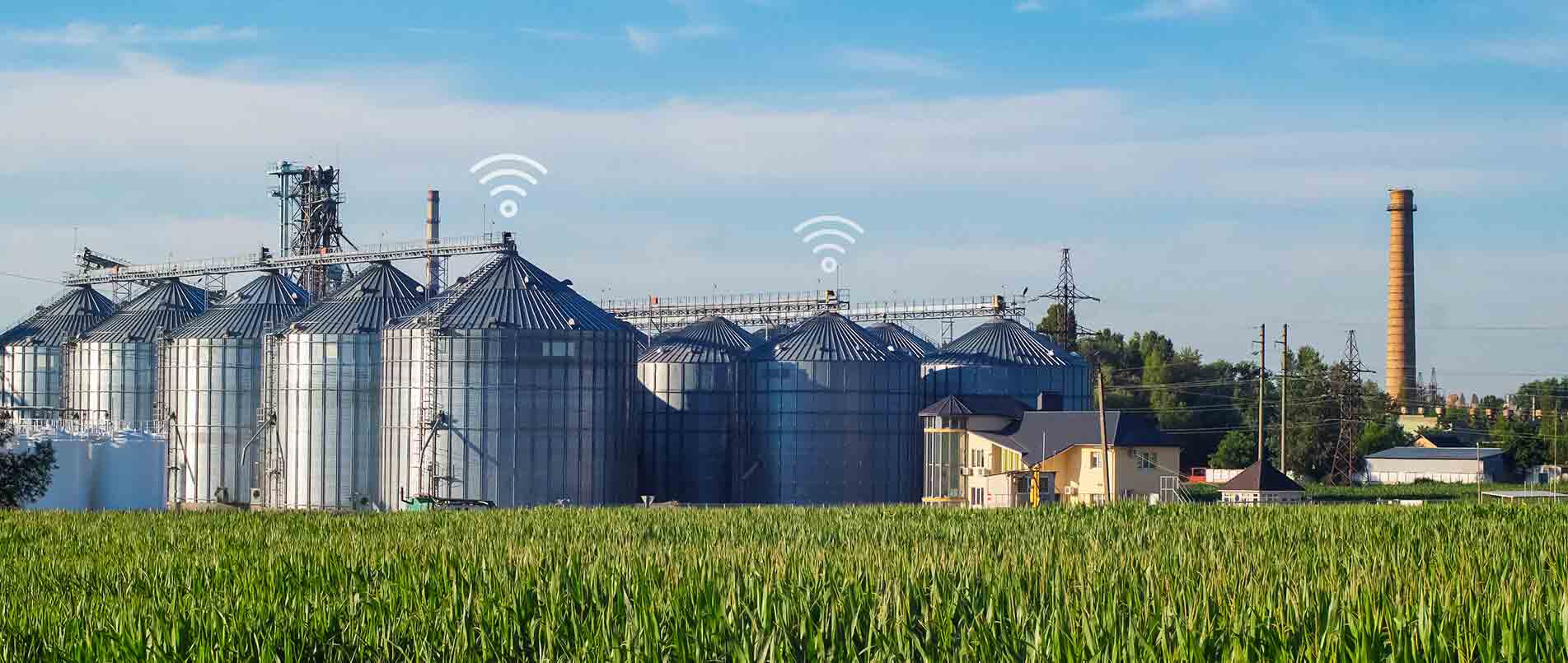 j9官网助力夏粮存储新招式，科技手段更有效