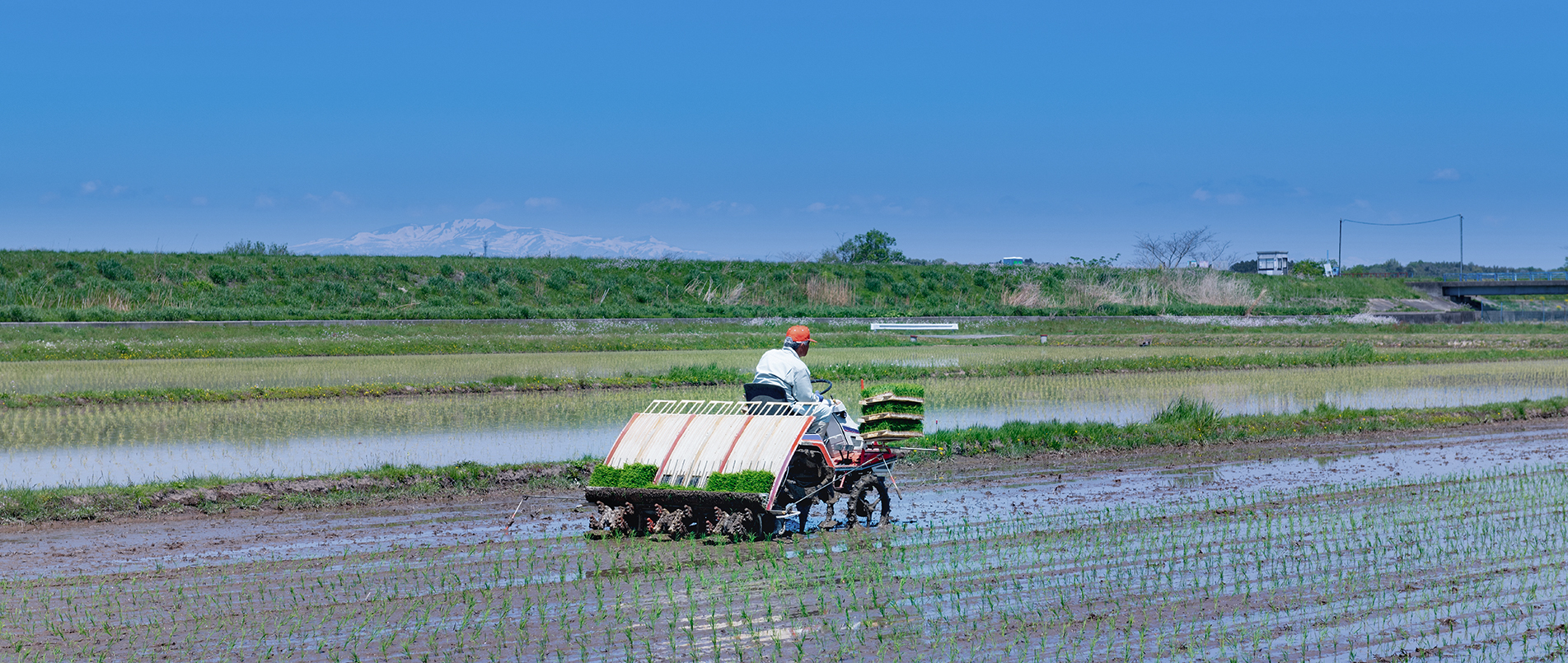 农机水田作业的“智慧大脑”——沃地泰FMA210，告别“经验种植”，开启精准高效农业之旅
